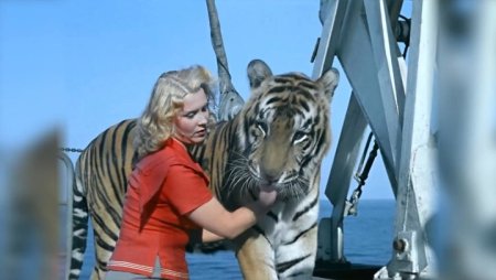 Полосатый рейс (1961) — комедия, приключения, HD