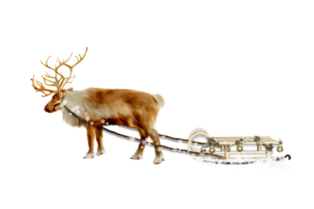 Оленья упряжка