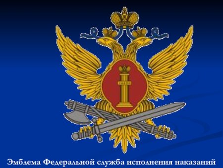 Эмблема УИИ УФСИН