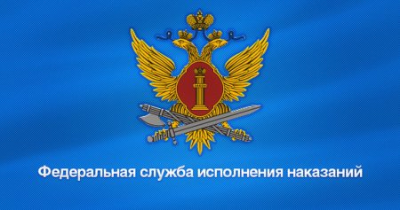 Эмблема УИС