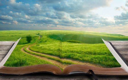 Книга природа