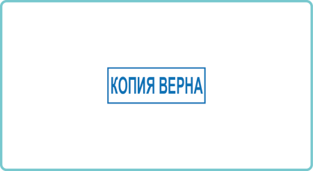 Копия верна