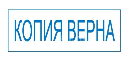Оттиск копия верна