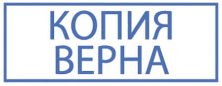 Надпись копия верна