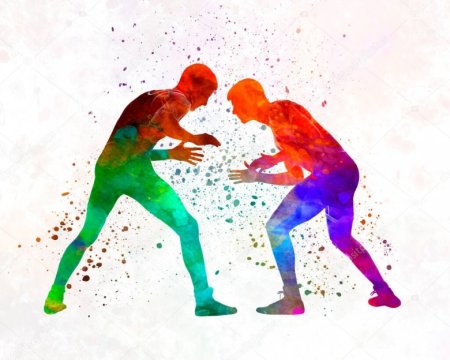 Силуэты спортсменов борьба