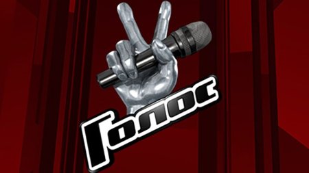 Шоу голос логотип
