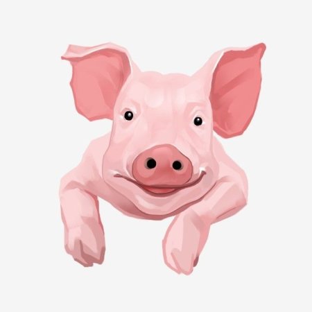 Голова свиньи на прозрачном фоне