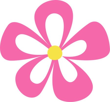 Цветы корел