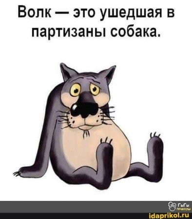 Жил был пёс. Волк