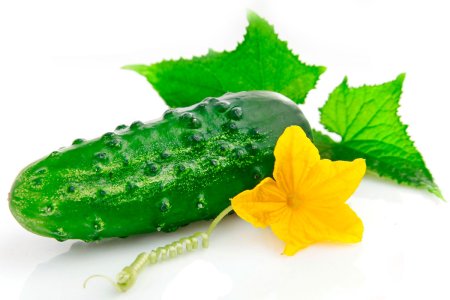 Карточки Домана огурец