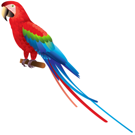 Parrotlet попугай