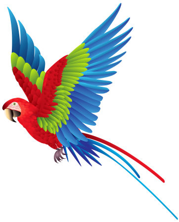 Клипарт попугай ара (46 фото)