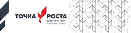 Точка роста орнамент
