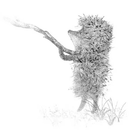 Ежик в тумане без фона