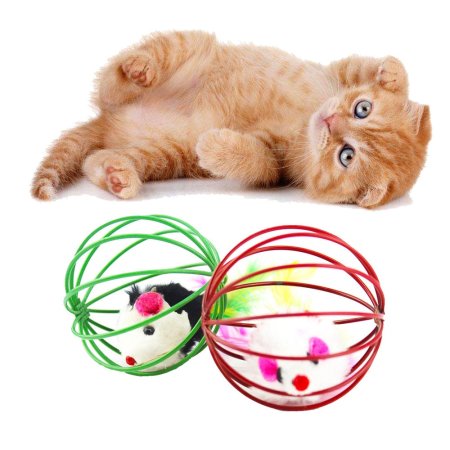Кошка играет