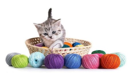 Игрушки для котят иконки