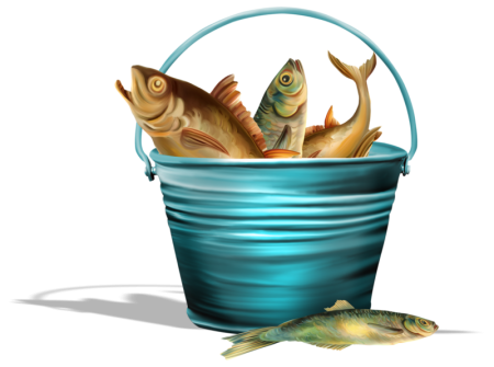 Ведро с рыбой