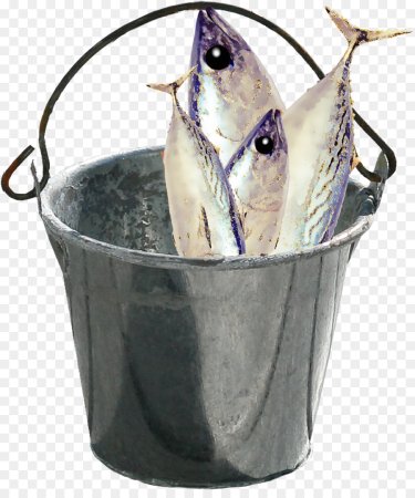 Ведро с рыбой