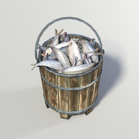 Ведро с рыбой