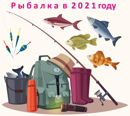 Рыба в ведре и удочка