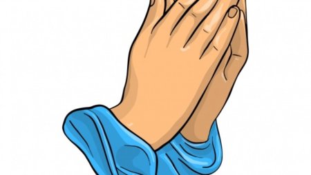 Сложенные ладони вместе