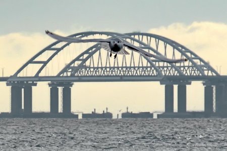Крымский мост Югансон