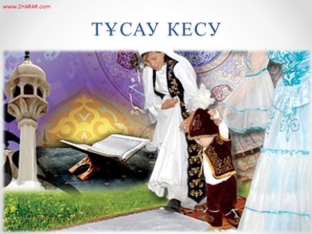 Тушоо той баннер