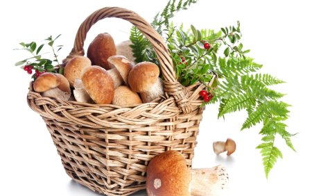 Корзинка с грибами