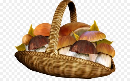 Корзина с грибами
