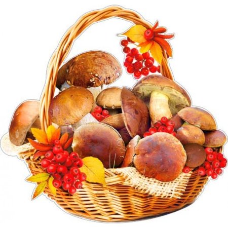 Корзина с грибами