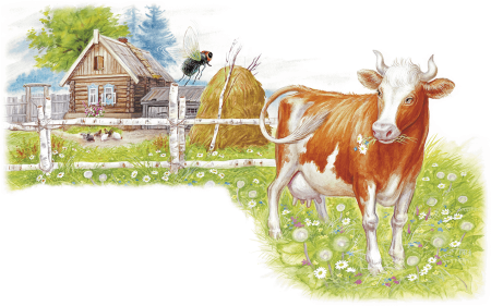 Бианки хвосты корова