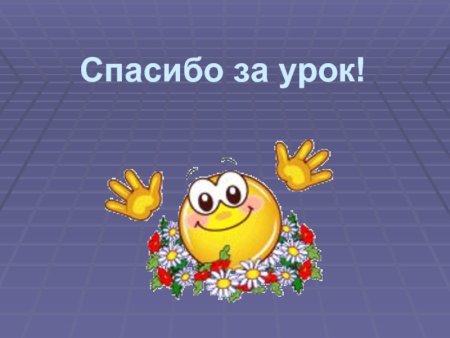 Спасибо за урок для презентации