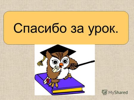 Спасибо за работу на уроке