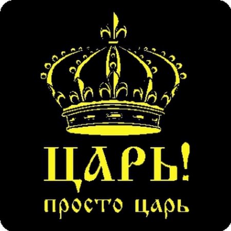 Кот царь просто царь