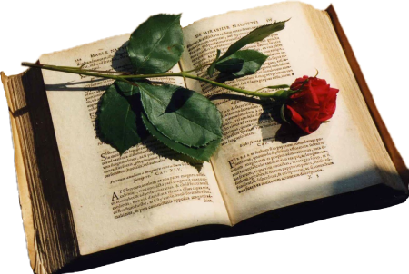 Раскрытая книга с цветами