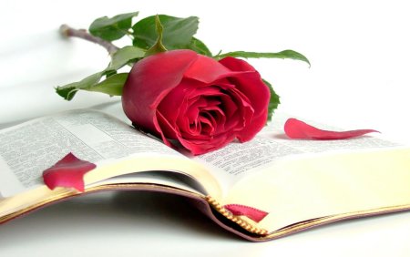 Открытка книга