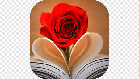 Сердце книга цветы