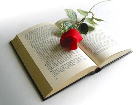 Раскрытая книга с цветами
