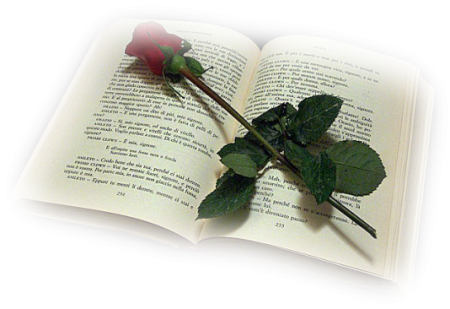 Открытая книга с розой