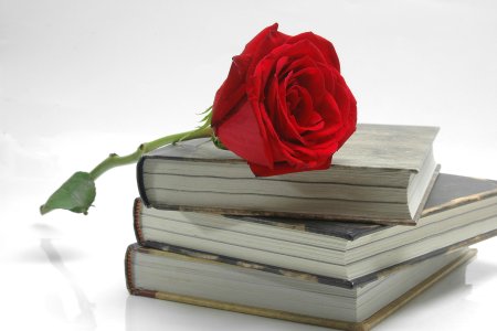 Книга цветы
