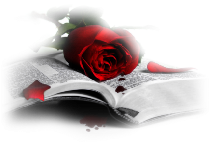 Книга с розой на прозрачном фоне