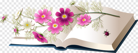 Книга с цветком на прозрачном фоне