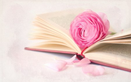 Книга на фоне цветов