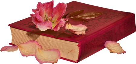 Красивая книжка на белом фоне