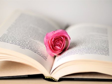 Книги цветы библиотека