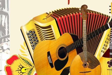Народные инструменты баян гитара аккордеон
