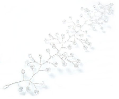 Веточка на прозрачном фоне