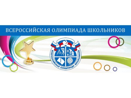 Сириус Всероссийская олимпиада школьников 11