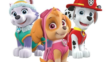 Paw Patrol персонаж Скай