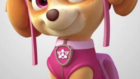 Paw Patrol герои